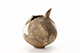 FileNo.204-0704.jpg