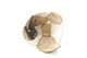 FileNo.204-0721.jpg
