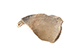 FileNo.204-0731.jpg