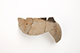 FileNo.204-0752.jpg