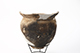 FileNo.204-0765.jpg