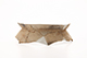 FileNo.204-0768.jpg