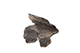 FileNo.204-0777.jpg
