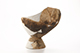 FileNo.204-0787.jpg