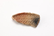 FileNo.204-0816.jpg