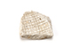 FileNo.204-0818.jpg