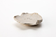 FileNo.204-0831.jpg