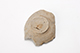 FileNo.204-0832.jpg