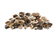 FileNo.204-0854.jpg