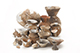 FileNo.204-0855.jpg