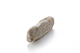 FileNo.204-0861.jpg