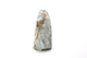 FileNo.204-0864.jpg