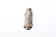 FileNo.204-0865.jpg