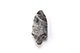 FileNo.204-0871.jpg