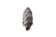 FileNo.204-0872.jpg