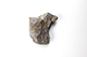 FileNo.204-0877.jpg