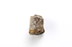 FileNo.204-0886.jpg
