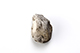 FileNo.204-0892.jpg