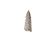 FileNo.204-0919.jpg