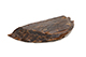 FileNo.204-0995.jpg