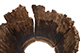 FileNo.204-1010.jpg
