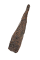 FileNo.204-1026.jpg