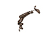 FileNo.204-1048.jpg