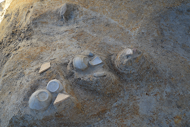 FileNo.207-006.jpg