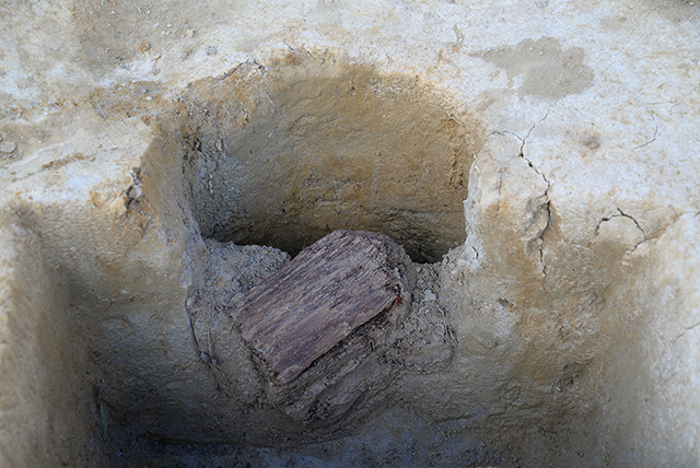 FileNo.207-030.jpg