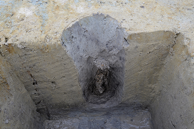 FileNo.207-049.jpg