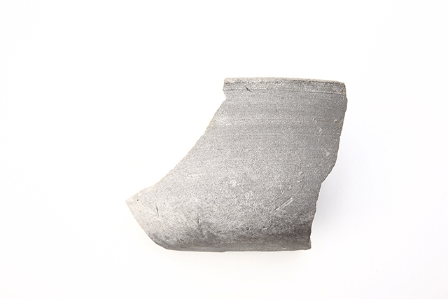 FileNo.207-050.jpg
