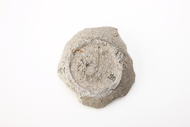 FileNo.207-092.jpg