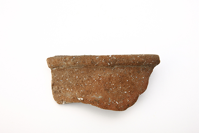 FileNo.207-105.jpg