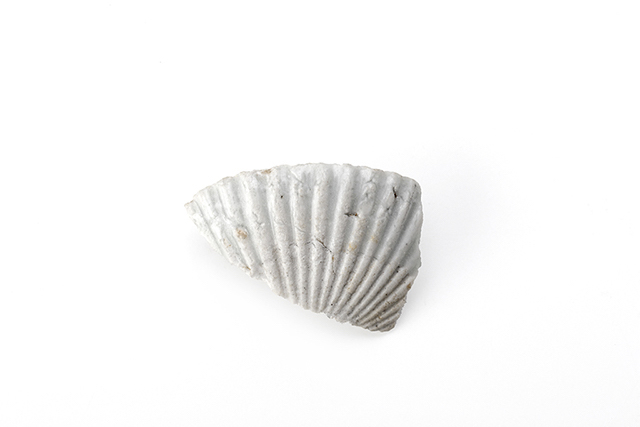 FileNo.207-118.jpg