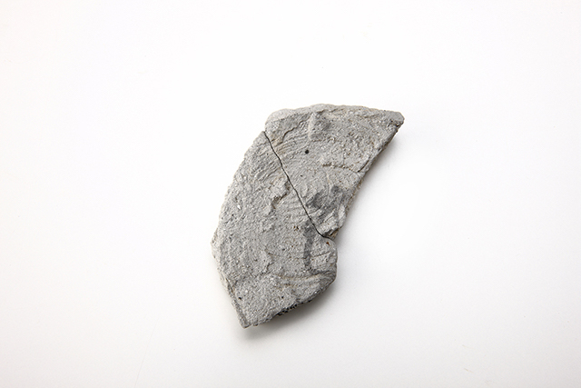 FileNo.207-121.jpg