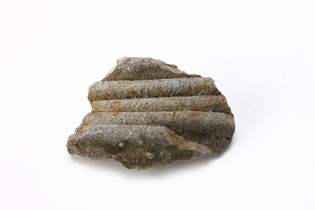 FileNo.207-132.jpg