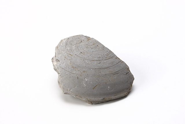 FileNo.207-147.jpg
