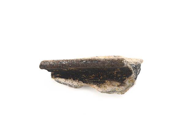 FileNo.207-158.jpg