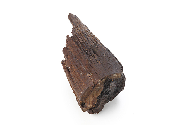 FileNo.207-178.jpg