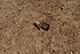 FileNo.208-024.jpg