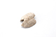 FileNo.208-038.jpg