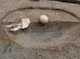 FileNo.210-003.jpg