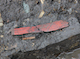 FileNo.210-029.jpg