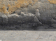FileNo.210-058.jpg
