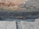 FileNo.210-074.jpg