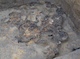 FileNo.210-095.jpg