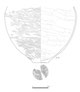 図版 210-ZE219.jpg