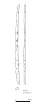 図版 210-ZW038.jpg