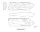 図版 210-ZW102.jpg