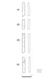 図版 210-ZW345.jpg